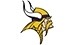 Vikings Store